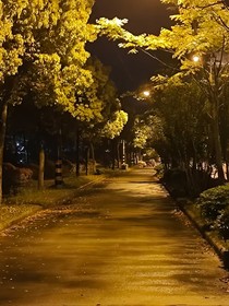 神印：神女爱苍生
