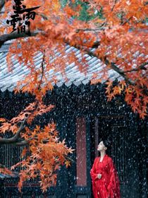 墨雨云间：梨落