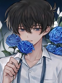 all新：你回来了