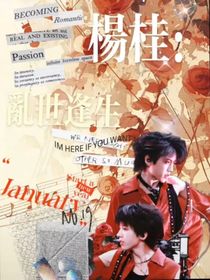 杨桂：乱世逢生