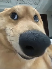 短篇（）
