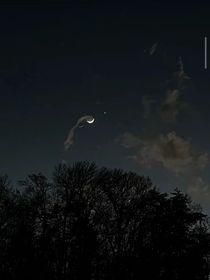 春月与冬星同在