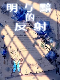 光与黯的反射