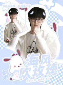 归期：海风吹玫瑰