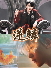 祺鑫：逆鱗