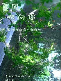 夏风吹向你