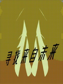 寻找来自未来