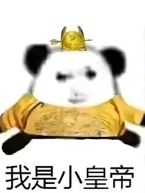 你也沒(méi)告訴我，他們是同?。?！
