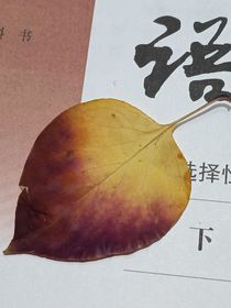 听说幸福