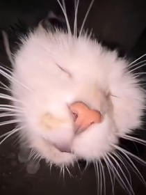 mbti雜文庫