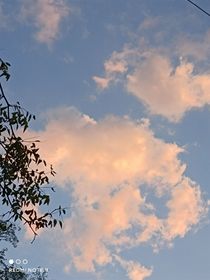 暗恋起点