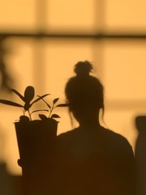 惑许爱会变质