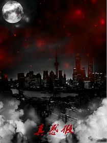 第一章：真惑假