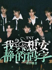 TNT：我只想安静的码字