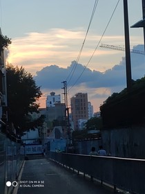 鹤海如眠沧海绝烟