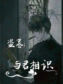 盗墓：与君相识