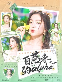 BTS：白茶味的Alpha