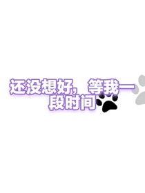 齒輪之心