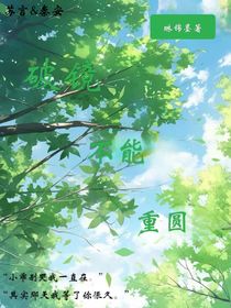 破镜未能重圆