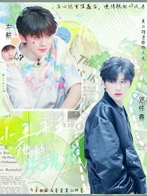 玫瑰花与小王子