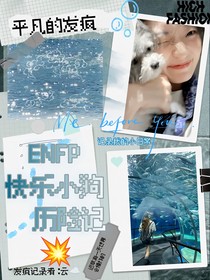 enfp快乐小狗历险记