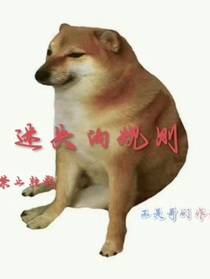 迷失的规则