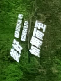 梧桐树的阁楼