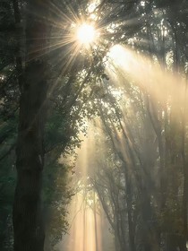 修正玛丽苏任务
