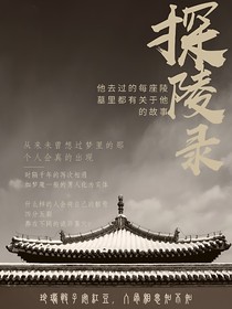 探陵录