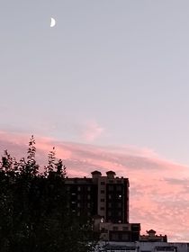 宋青下辈子也要在一起