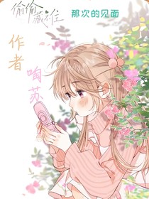 那次的见面：缩小版