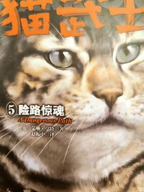猫武士：辉煌再现