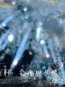 all轩：玫瑰与夕阳