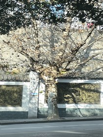 海边的木屋
