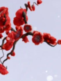 爆裂飞车：叶月岚心永不付