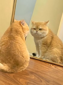 校園里，你好冷2……0