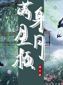 深宫曲：满身星月栖