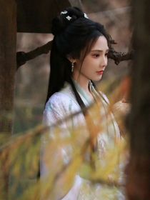 云之羽：苍山难负雪