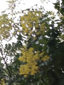 暢想十年后我的祖國