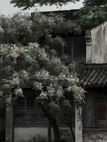 平淡婉霞