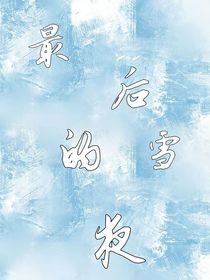 最后的雪夜！