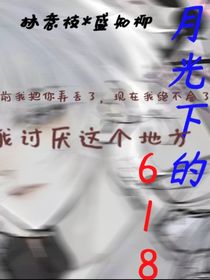 月光下的618
