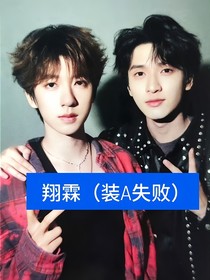 翔霖（装A失败）