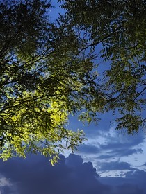 第16季春