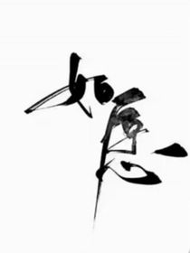 香烟伴侣