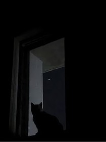 世俗的束缚