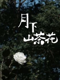 月下山茶花