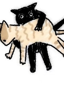 穿越代号鸢却乱入真人RPG