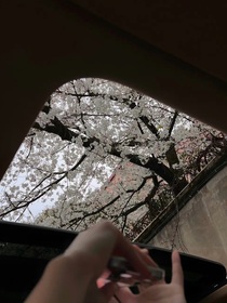 好久不见我很想你