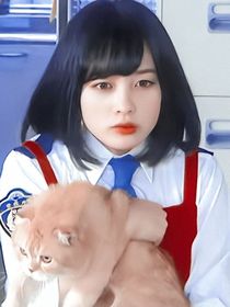 热血街区：学长们只想着打架怎么办？
